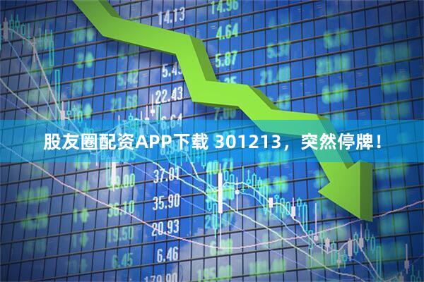 股友圈配资APP下载 301213，突然停牌！