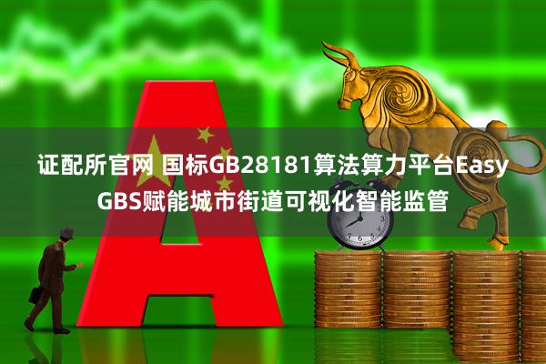证配所官网 国标GB28181算法算力平台EasyGBS赋能城市街道可视化智能监管